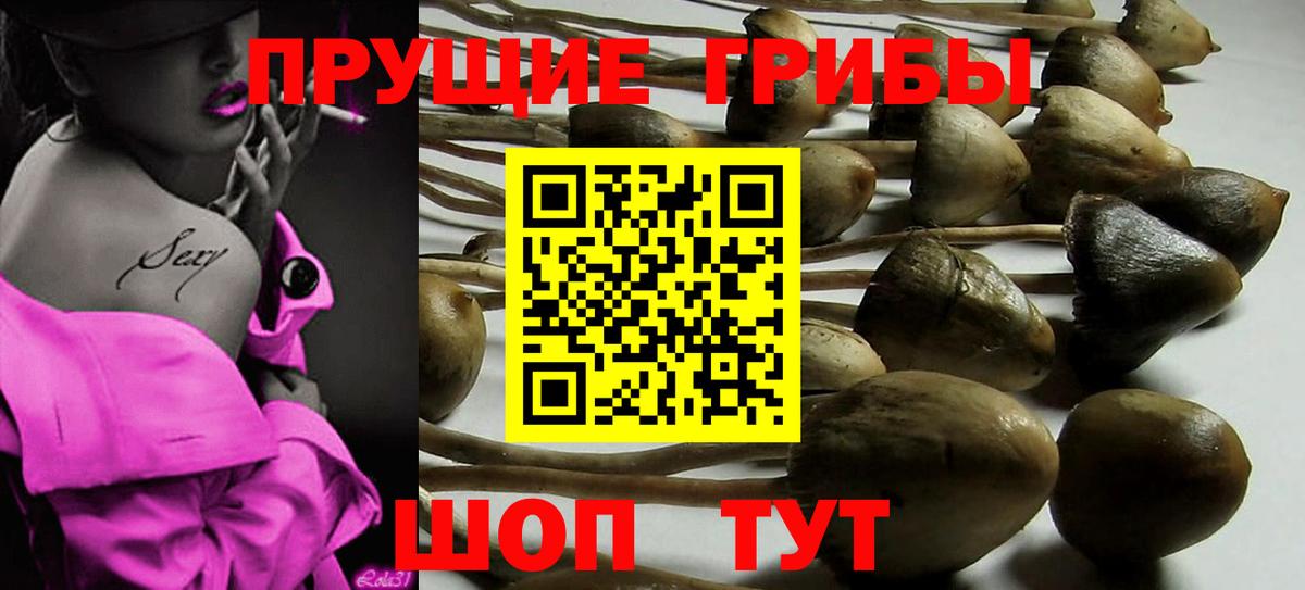 Горячий Ключ  Псилоцибиновые грибы ЛСД  Вход с VPN 